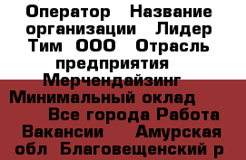 Оператор › Название организации ­ Лидер Тим, ООО › Отрасль предприятия ­ Мерчендайзинг › Минимальный оклад ­ 26 000 - Все города Работа » Вакансии   . Амурская обл.,Благовещенский р-н